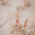 Das Ziel des Lebens ist Selbstverwirklichung.