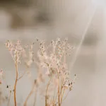 Yvonne Birkel Spiritual Life Coach Soul and Mind Coaching Bühnenprogramm Erftstadt